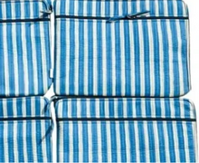 Load image into Gallery viewer, Stipe, Blue - Laptop Pouch with double zip