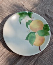 Load image into Gallery viewer, Apricot Appetizer plates