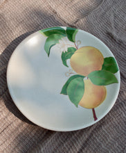 Load image into Gallery viewer, Apricot Appetizer plates
